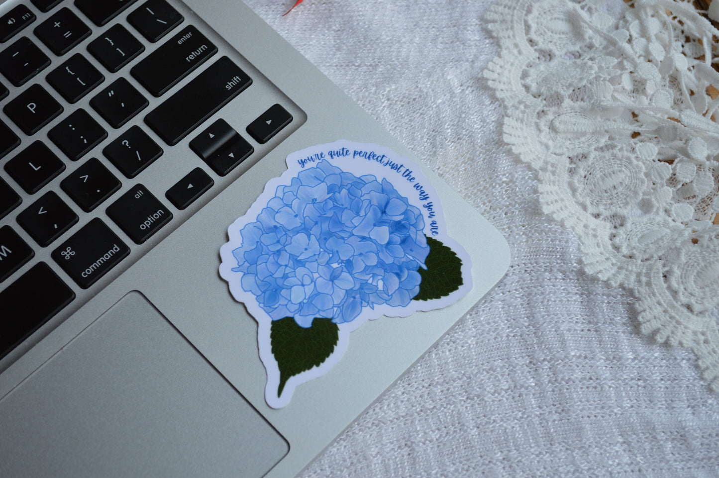 You Are Quite Perfect Just The Way You Are Sticker, Hydrangea Sticker, Blue Flower Decal, Positive Quote, Quote Sticker