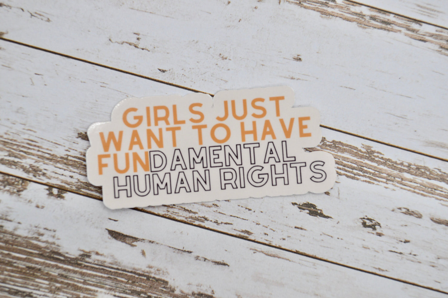 Girls Just Want To Have Fundamental Human Rights Sticker, Women's Rights Sticker, Pro Abortion, Pro Choice, Pro Rights