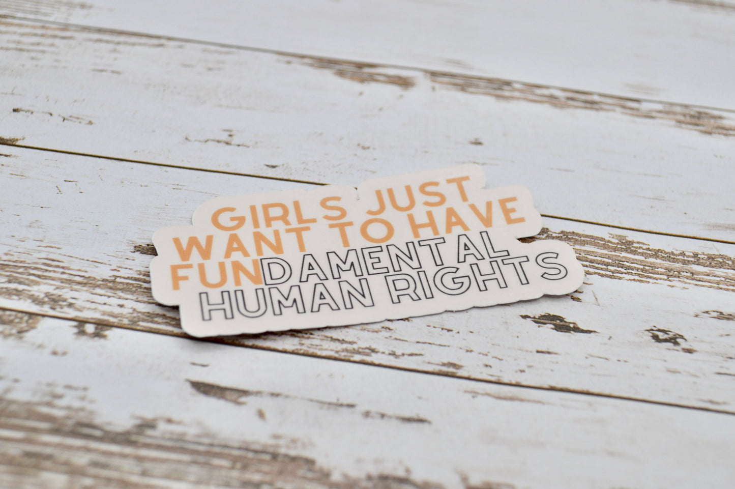 Girls Just Want To Have Fundamental Human Rights Sticker, Women's Rights Sticker, Pro Abortion, Pro Choice, Pro Rights